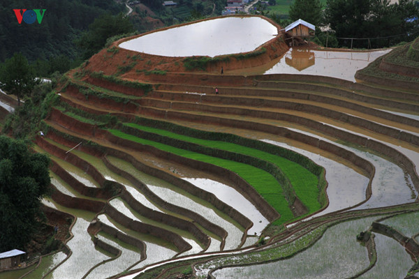 mu cang chai named among world’s 50 most beautiful places to visit hinh 1