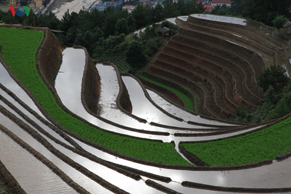 mu cang chai named among world’s 50 most beautiful places to visit hinh 2