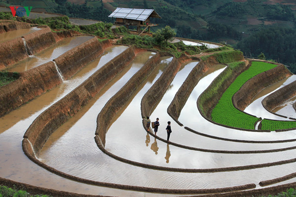 mu cang chai named among world’s 50 most beautiful places to visit hinh 3