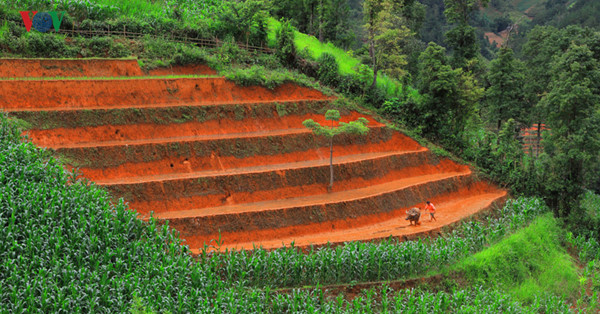 mu cang chai named among world’s 50 most beautiful places to visit hinh 4