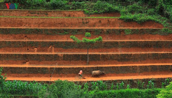 mu cang chai named among world’s 50 most beautiful places to visit hinh 5