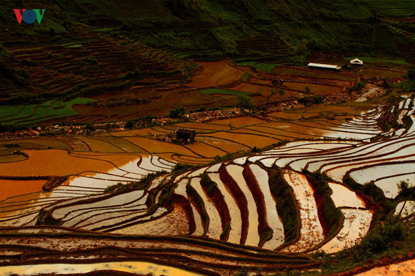 mu cang chai named among world’s 50 most beautiful places to visit hinh 6