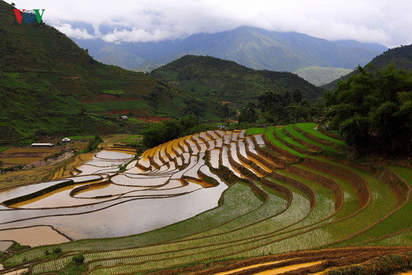 mu cang chai named among world’s 50 most beautiful places to visit hinh 7
