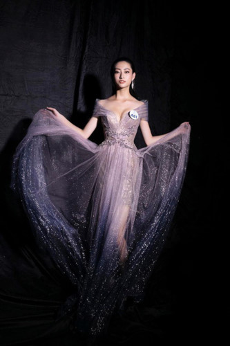 vietnamese representatives set to take part in global beauty pageants hinh 3