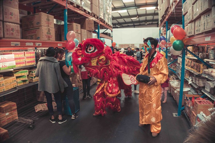 vietnamese expatriates in germany celebrate mid-autumn festival hinh 5