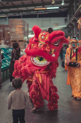 vietnamese expatriates in germany celebrate mid-autumn festival hinh 6