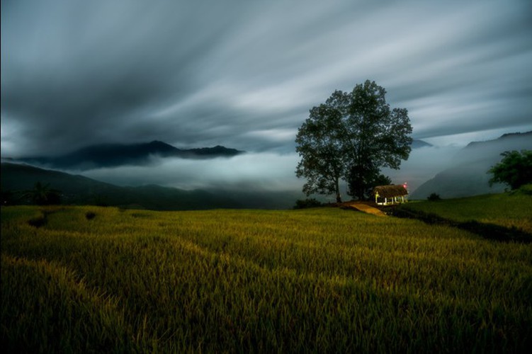 stunning vietnamese images displayed in sony world photography awards hinh 10