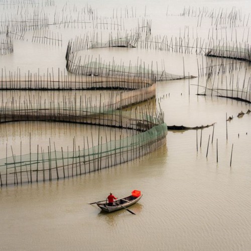 photo captured in vietnam named in top 10 of independent photographer award hinh 4