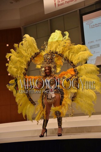 stunning national costumes on show at miss international 2019 hinh 11