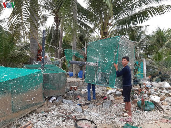 central region prepares for impending impact of storm no. 6 hinh 6