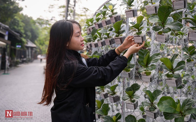 unique exhibition showcasing recycled plastic opens in hanoi hinh 9