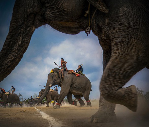 winners of vietnam heritage photo contest 2019 announced hinh 2