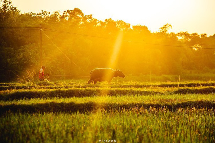 light journey photo exhibit hinh 8