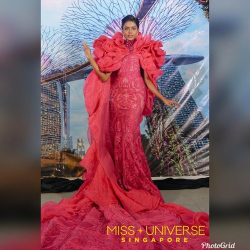 array of national costumes revealed for miss universe 2019 hinh 16