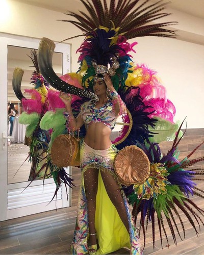 array of national costumes revealed for miss universe 2019 hinh 8