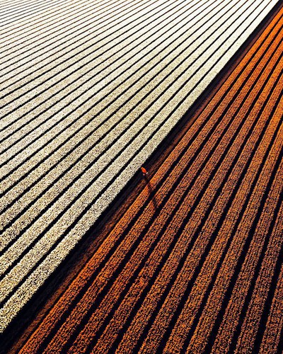 local photographers into top 50 of #landscape2019 contest of agora images hinh 6