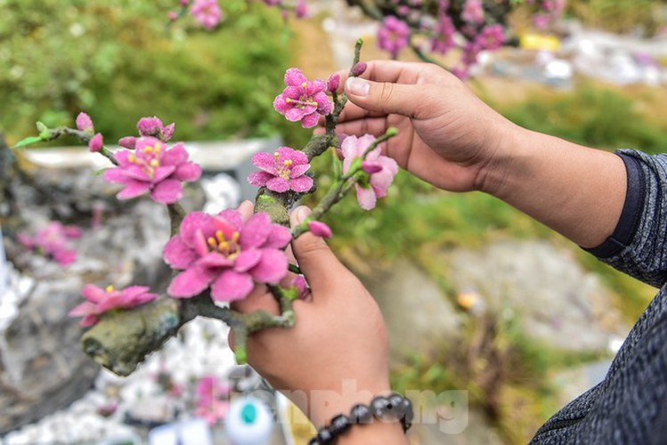 stunning gemstone peach tree goes on sale in hanoi ahead of tet hinh 10