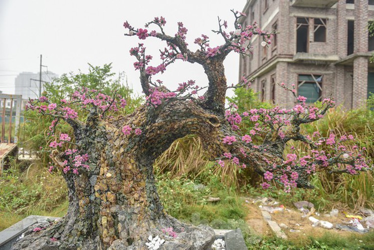 stunning gemstone peach tree goes on sale in hanoi ahead of tet hinh 1