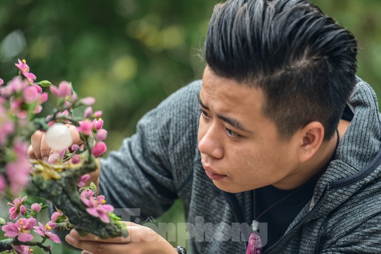 stunning gemstone peach tree goes on sale in hanoi ahead of tet hinh 5