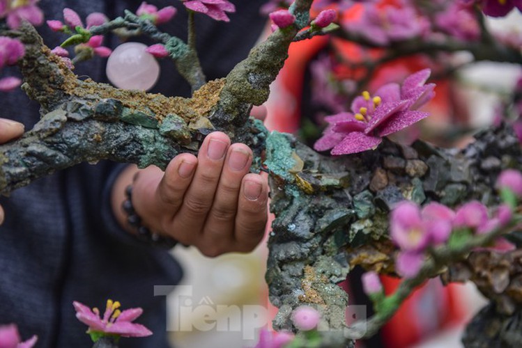 stunning gemstone peach tree goes on sale in hanoi ahead of tet hinh 6