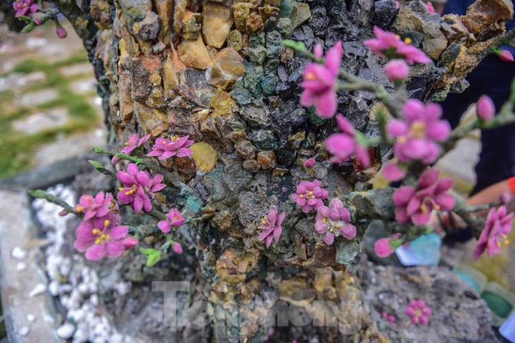 stunning gemstone peach tree goes on sale in hanoi ahead of tet hinh 9