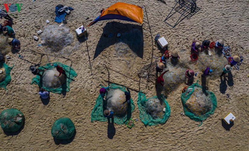 a glimpse of a rustic fishing village in thua thien-hue province hinh 10