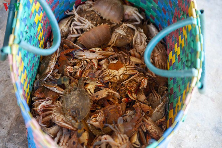 a glimpse of a rustic fishing village in thua thien-hue province hinh 8