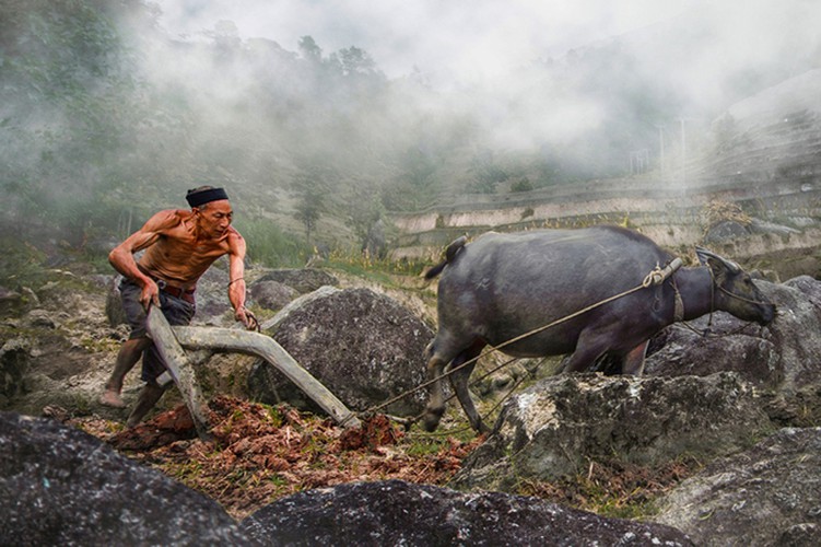 journey of heritages 2019 exhibition goes on show in hanoi hinh 11