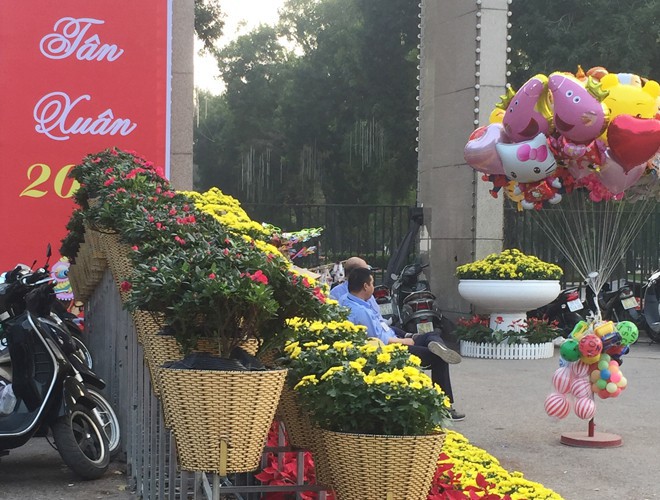 first signs of spring beauty spotted on hanoi streets hinh 5