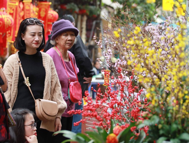 first signs of spring beauty spotted on hanoi streets hinh 8