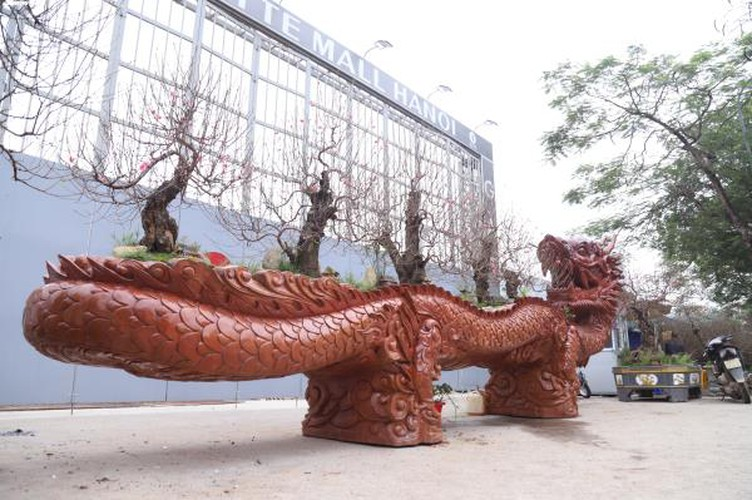 craftsman prepare unique ornamental trees ahead of year of rat hinh 2