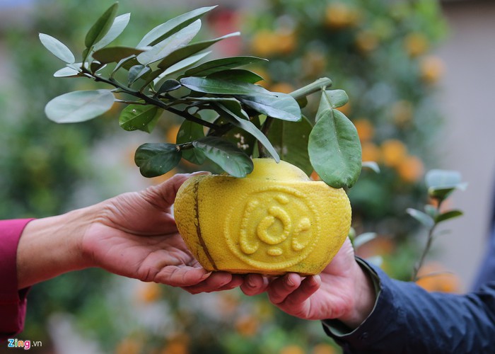 craftsman prepare unique ornamental trees ahead of year of rat hinh 8