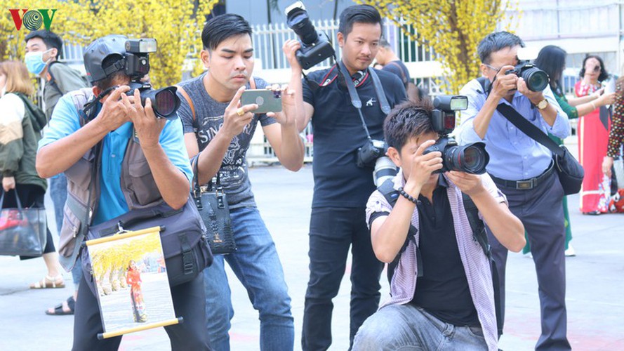 visitors to hcm city in awe of streets covered in apricot blossoms hinh 12