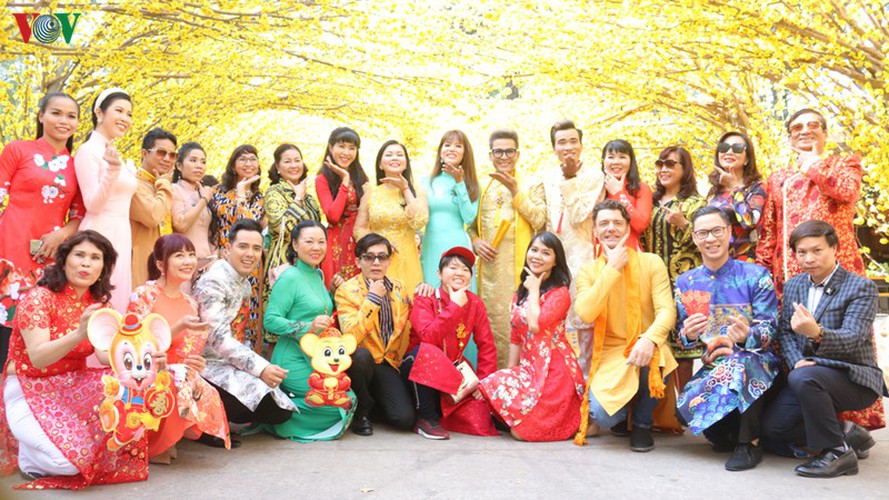 visitors to hcm city in awe of streets covered in apricot blossoms hinh 13