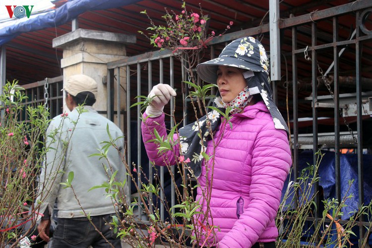 quang an flower market bustling with trade as tet looms hinh 11