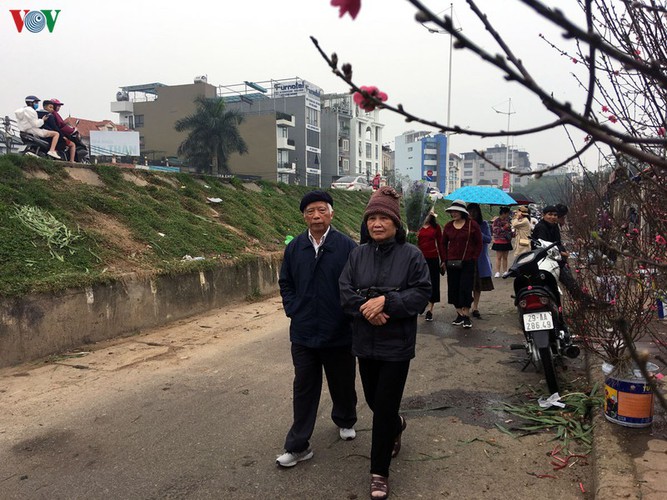 quang an flower market bustling with trade as tet looms hinh 13