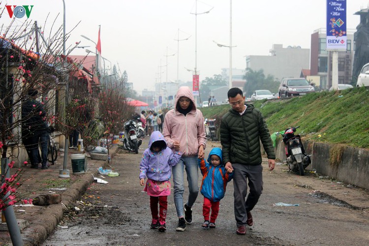 quang an flower market bustling with trade as tet looms hinh 14