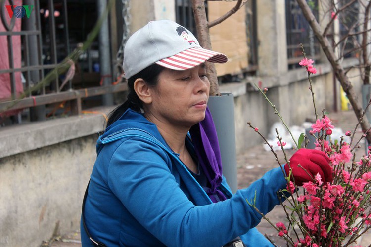 quang an flower market bustling with trade as tet looms hinh 16