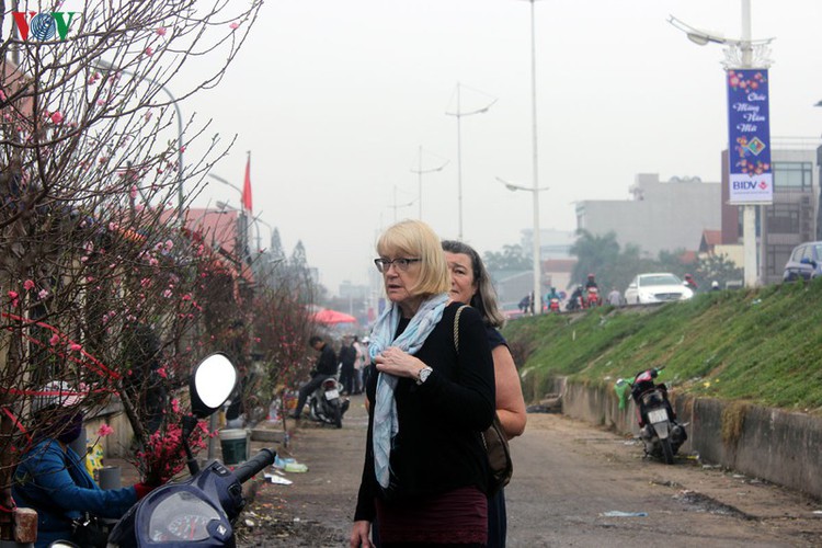 quang an flower market bustling with trade as tet looms hinh 17