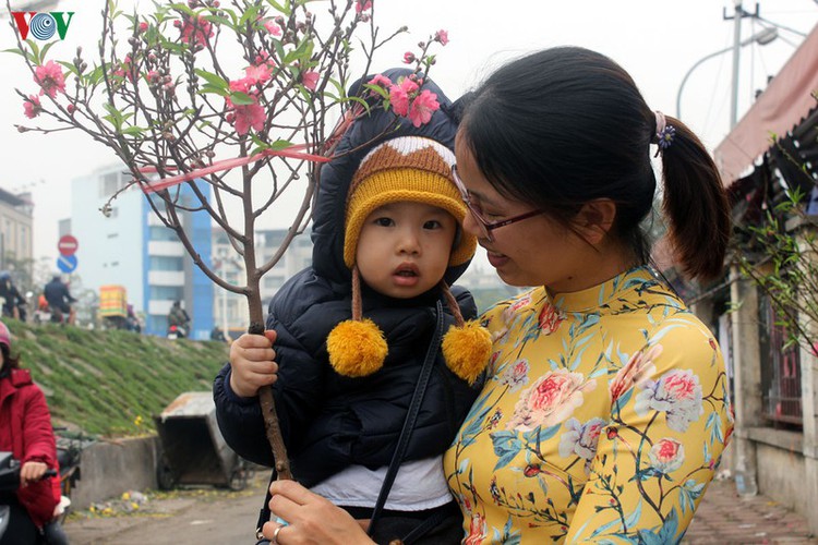 quang an flower market bustling with trade as tet looms hinh 18