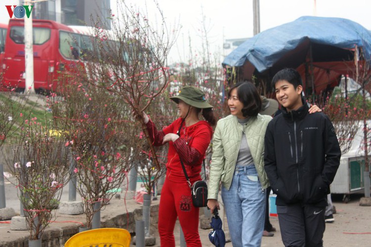 quang an flower market bustling with trade as tet looms hinh 19