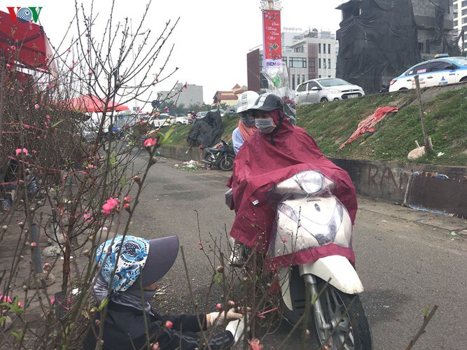 quang an flower market bustling with trade as tet looms hinh 4