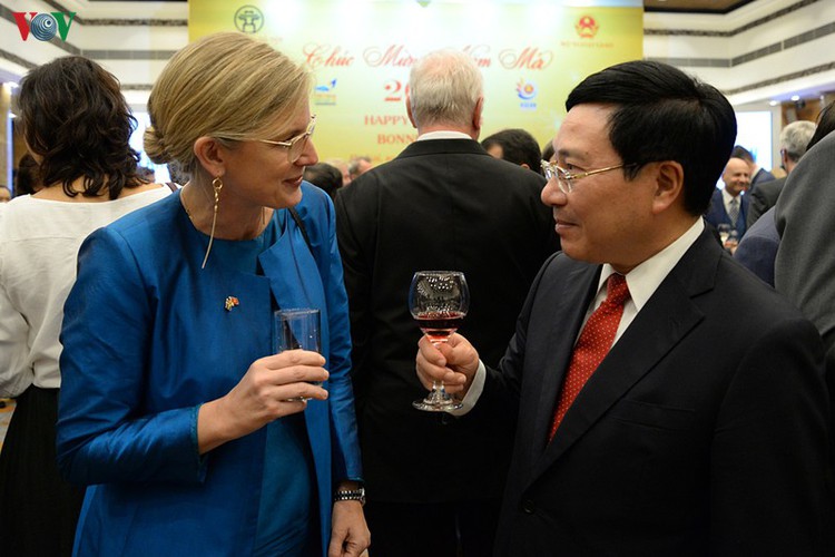 diplomatic representatives hosted by deputy pm at new year banquet hinh 10
