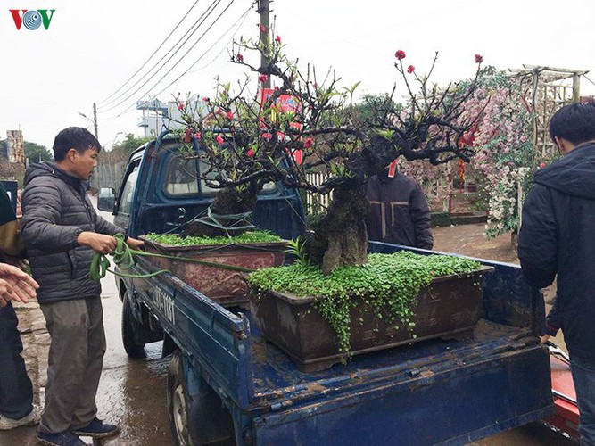 tu lien village bustles with trade ahead of tet hinh 17