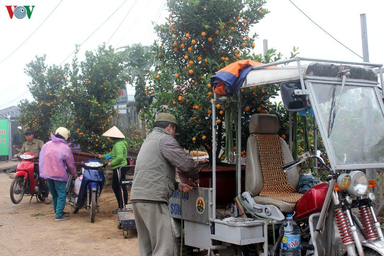 tu lien village bustles with trade ahead of tet hinh 3