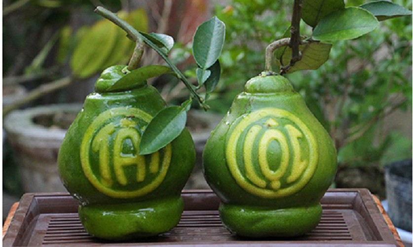 fruit carvings lure plenty of customers for tet hinh 4