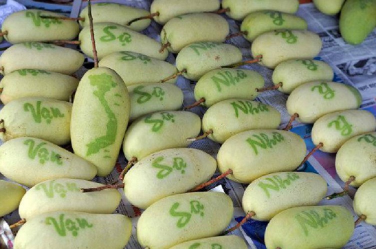 fruit carvings lure plenty of customers for tet hinh 6