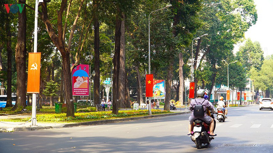 tet decorations spring up on streets across hcm city hinh 8