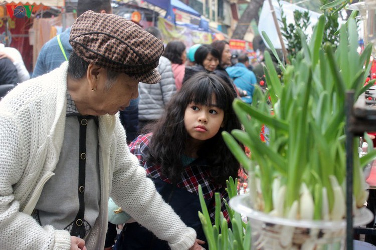 hang luoc flower market proves to be a hit among customers ahead of tet hinh 11