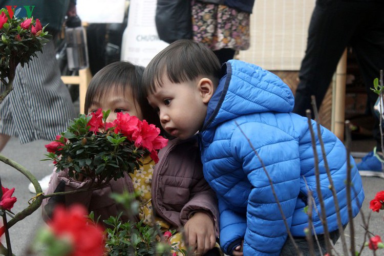 hang luoc flower market proves to be a hit among customers ahead of tet hinh 16